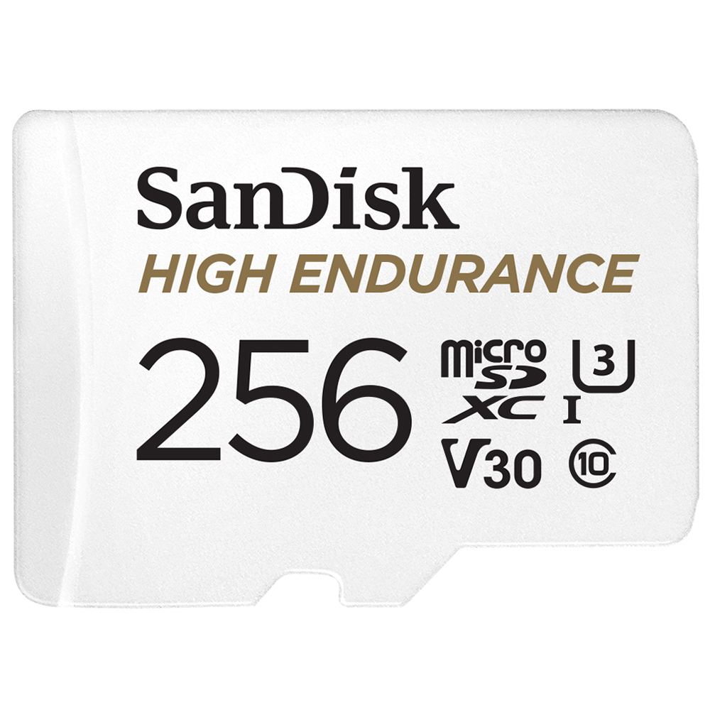 work wealth The database Memory Cards Card Memorie SANDISK High Endurance 256GB SDSQQNR-256G-GN6IA  203982... - Quickmobile