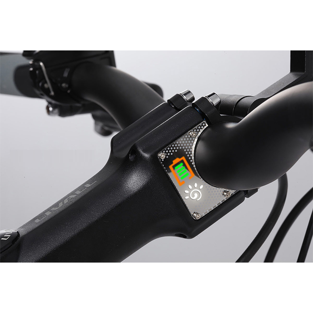 power bank bike mount